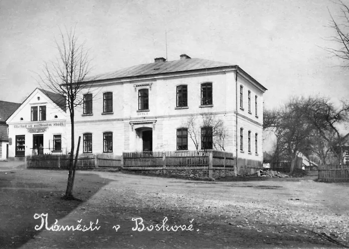 Rodinny Drevenka-kulturni Pamatka 3* Bozkovska